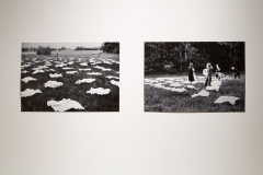 Icons and Mythologies: The Desire of Changes