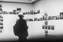 10_15_sudek_fotoditahavrankova_web019